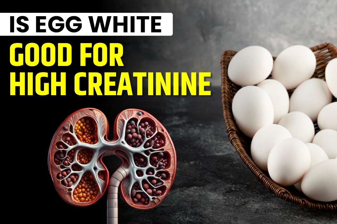 Is Egg White Good for High Creatinine?